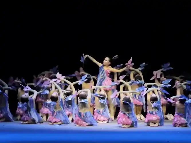 中国舞#少儿舞蹈#舞蹈剧目#舞蹈比赛,一群小蝴蝶以优美的舞姿和生动的