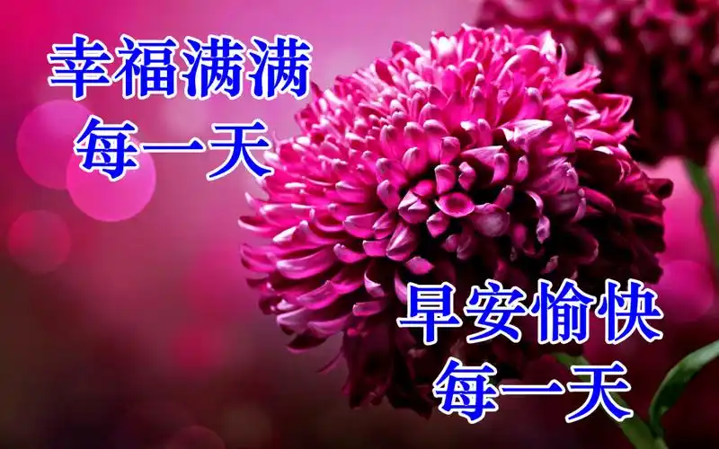 带字,12月早安温馨问候祝福语图片带字8张有创意的老同学早安问候动画