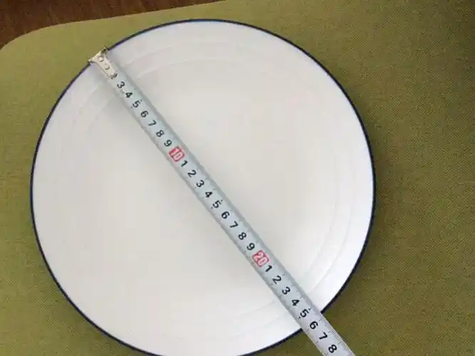 [晒单帖]扣除测量误差,的确是26cm的大盘子,用.