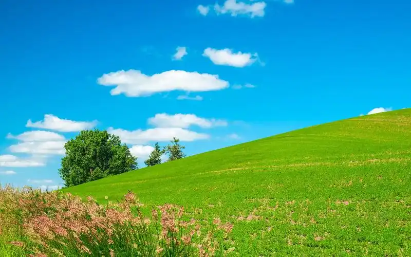 首页 桌面壁纸 风景壁纸 绿色护眼草原风景小清新唯美护眼高清壁纸