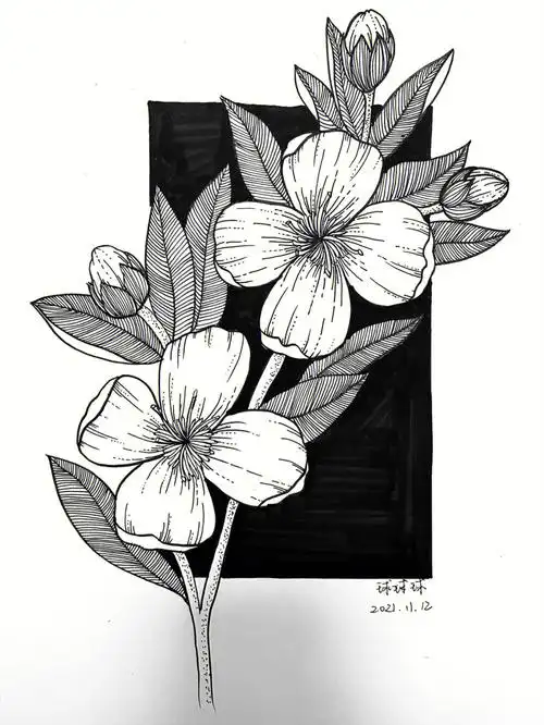 画画  #黑白线描装饰画  #花卉  #控笔训练  #控笔练习打卡  #针管