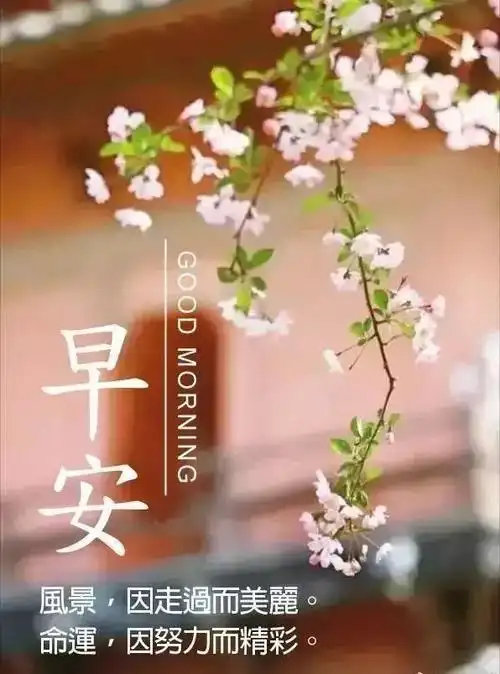 周末很潮的早安祝福语送人 夏天真诚早安心语正能量问候语句 最美的