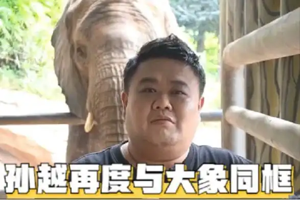出生相声名门却养象十年孙越再度与大象同框抢食互动超有趣