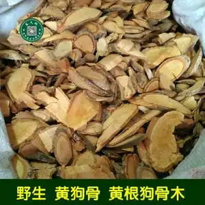 lizi18668560616淘宝狗骨根中药材黄根 枸骨根  枸骨木,白狗骨,黑根
