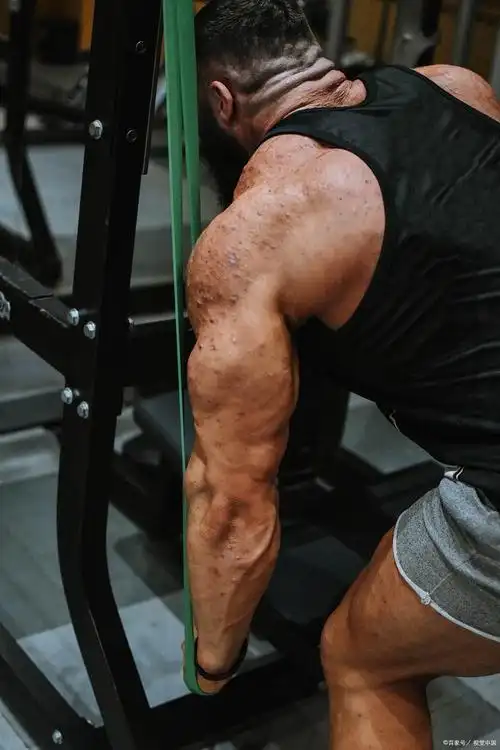 练手臂肌肉的动作