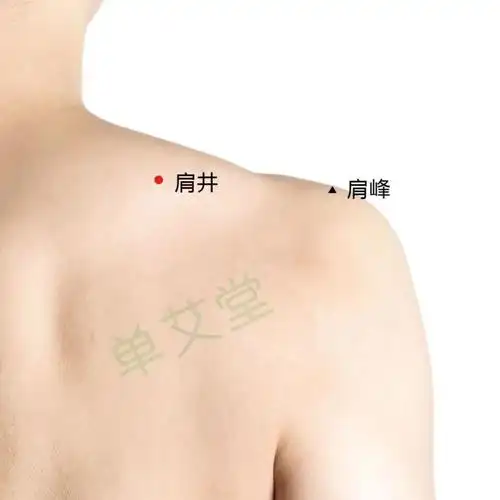 脖子粗,肩膀宽,胸背厚,不是胖 是淋巴堵了 你该做肩颈疏通了 腾讯新闻