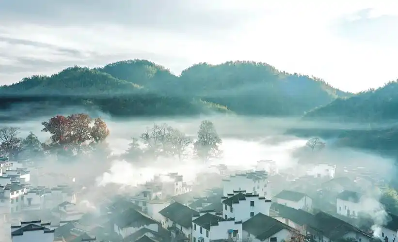 运气不错,在婺源的几天都是晴天.