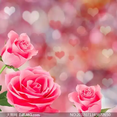 心形图案点缀的玫瑰花创意高清图片