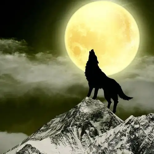 印花dmc纯棉绣线十字绣动物世界名画油画月下狼魂十字绣套件