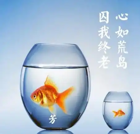 静心.老歌依旧动听,只是听歌的人心境已变～ - 抖音