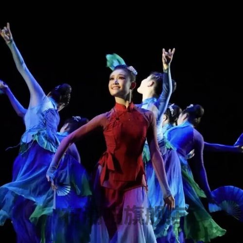 花淯一条大河舞蹈服古典舞蹈服装女一条大河群舞安徽花鼓灯演出服胶州