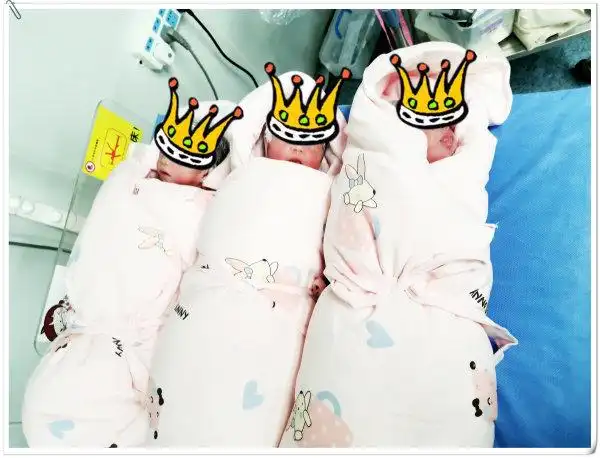 襁褓中的三个萌宝