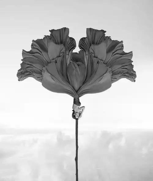 艺术与设计 - 世界十大美术摄影师佳作欣赏