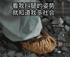 熊猫头金馆长小锤锤表情包_斗图表情范德彪抽烟 gif - 范德彪动图