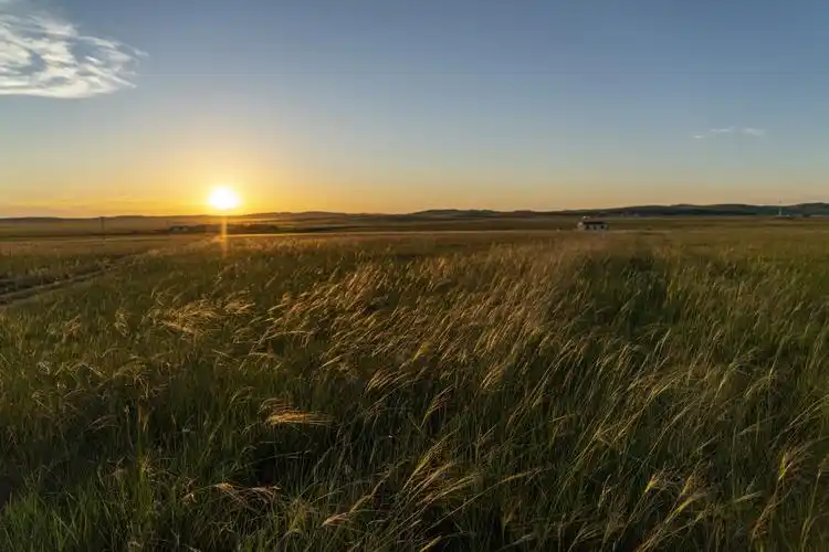 草原情(下)——天边草原乌拉盖