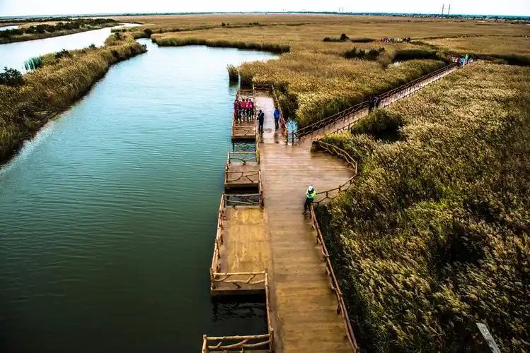 东营黄河口生态旅游区