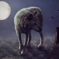 霸气孤独狼的照片头像图片_微信头像图片大全