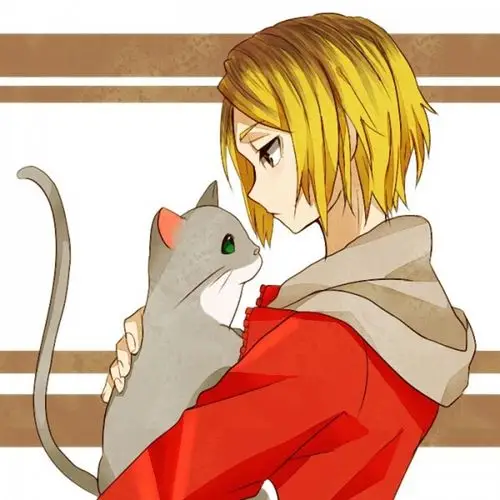 排球少年 ハイキュー!孤爪研磨