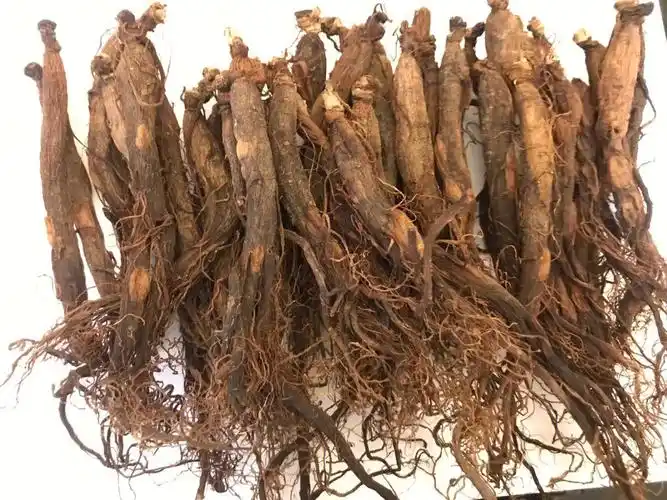 在家diy黑参3蒸3晒已完成