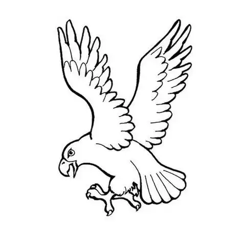 动物简笔画展翅雄鹰