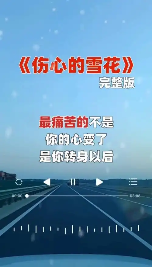 伤心的雪花经典歌曲完整版