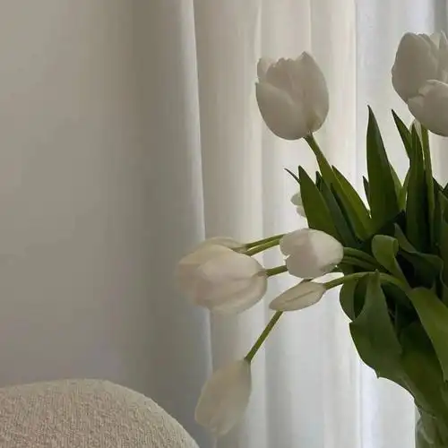 朋友圈背景图已送达20