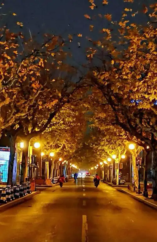 发展中的金山区 一一看美丽的城市夜景