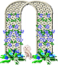 gif动态鲜花素材玫瑰花系列