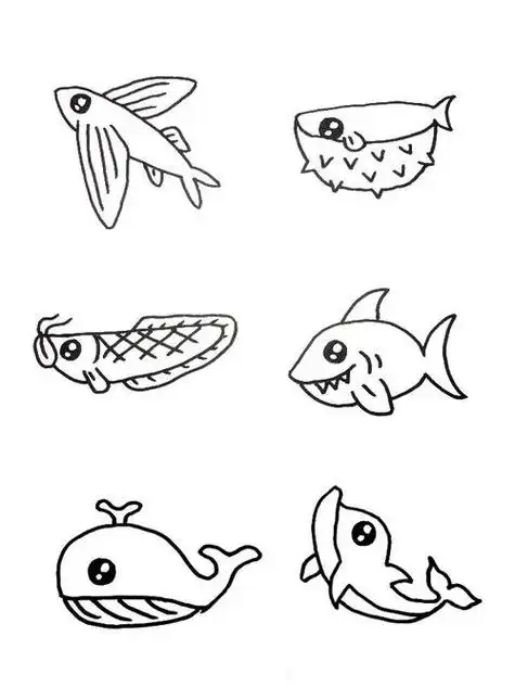 全在这,拿海洋生物简笔画 横行的暴徒 虎鲸 海洋生物简笔画海底生物简