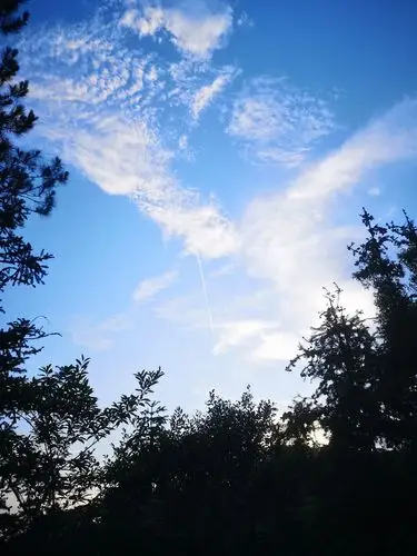 p20pro天空拍照非常清晰美,美,美.