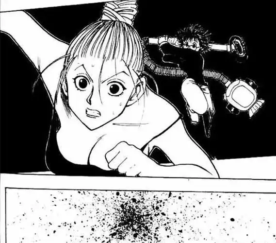 全职猎人善解人意的猫女尼飞比特