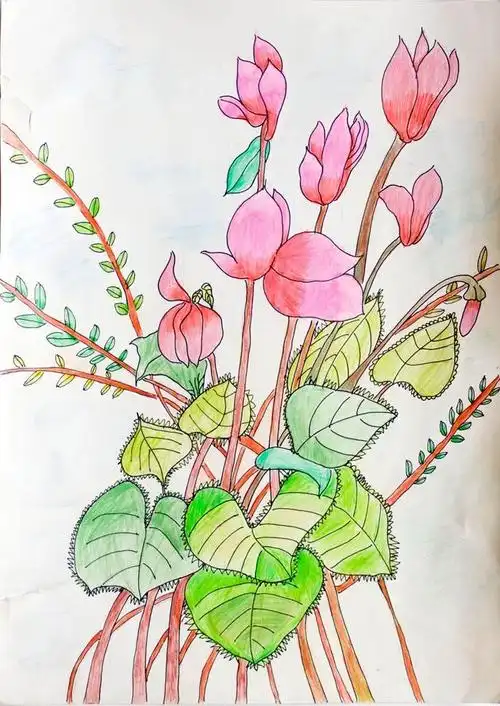 铅笔淡彩画图片简单,铅笔淡彩画简单-图片大观-奇异网