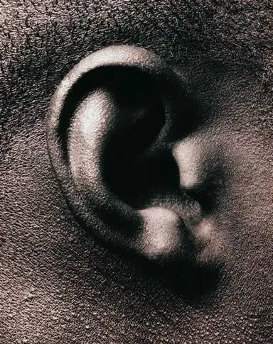 耳朵特写图片图库