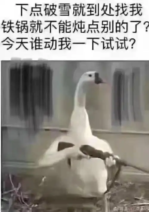 铁锅炖大鹅表情包下点破雪就到处找我铁锅就不能炖点别的了