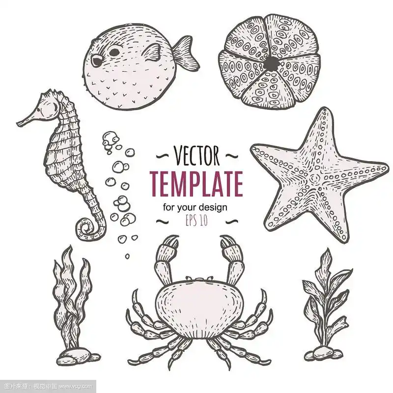 手绘海洋生物素描模板