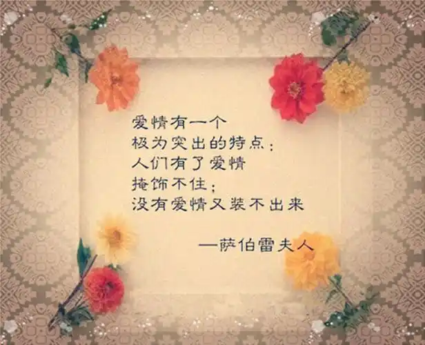 感情哲理的句子 关于爱情的句子应该有趣而富有哲理!-牛句网