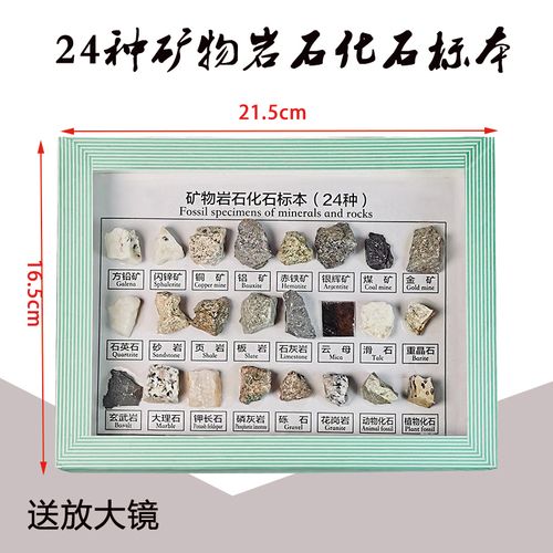 实验课堂教学种类多样活跃思维简洁矿物岩石化石标本自然地理地质矿石