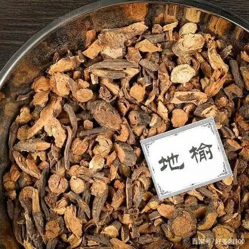 趣说中药:地榆长得像榆树,吃着像黄瓜,营养像人参,你是啥?