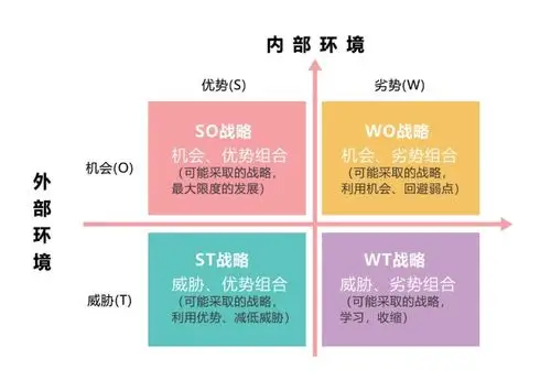 图6-5 swot分析法