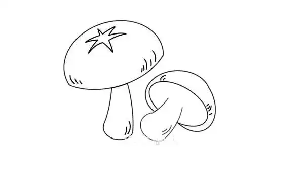 香菇简笔画怎么画香菇简笔画步骤教程