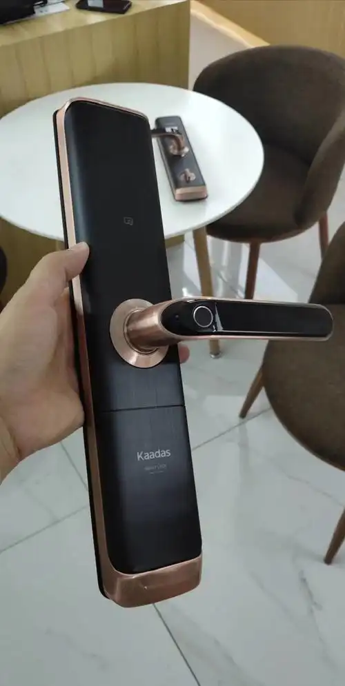门锁凯迪仕智能s110指纹家用防盗防盗门电子密码锁智能门锁