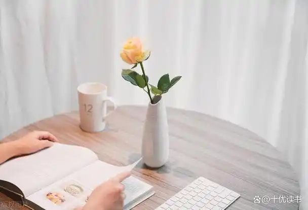 在一个宁静的午后,阳光透过窗帘,洒在温馨的小屋.