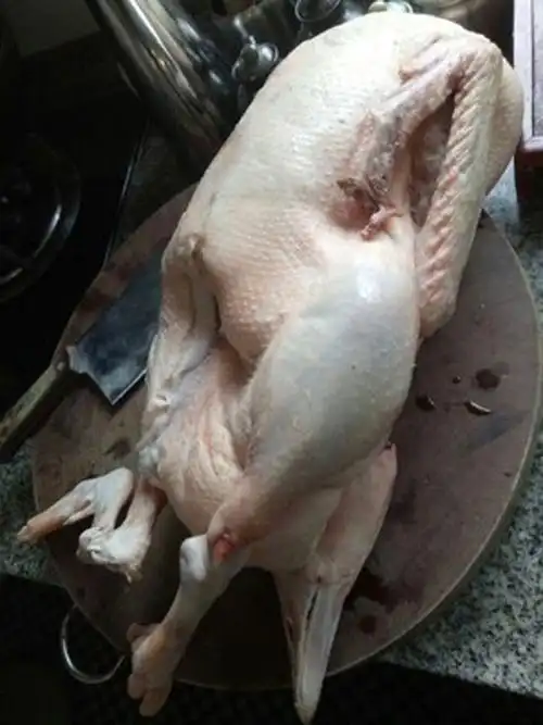 东北大鹅肉整只黑龙江散养农村笨鹅大白鹅冷冻鹅肉新鲜大鹅爪3斤