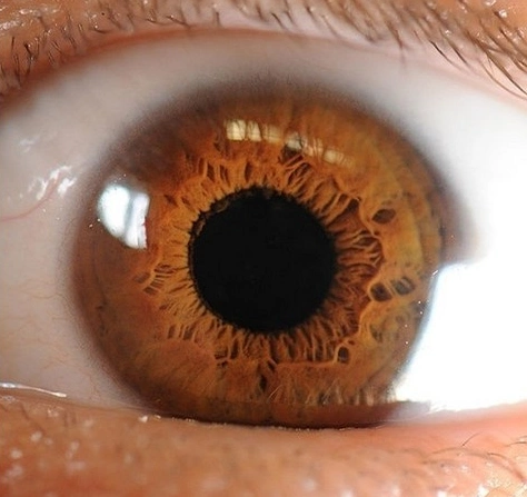 10个冷知识!虹膜解锁为什么比指纹更安全?