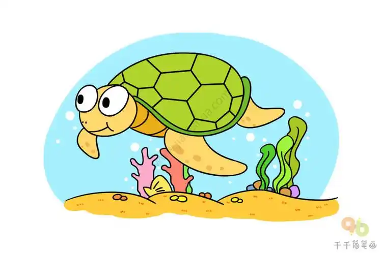 海里游玩的乌龟简笔画步骤图_海洋动物简笔画