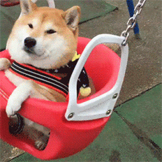 245_245gif 动态图 动图