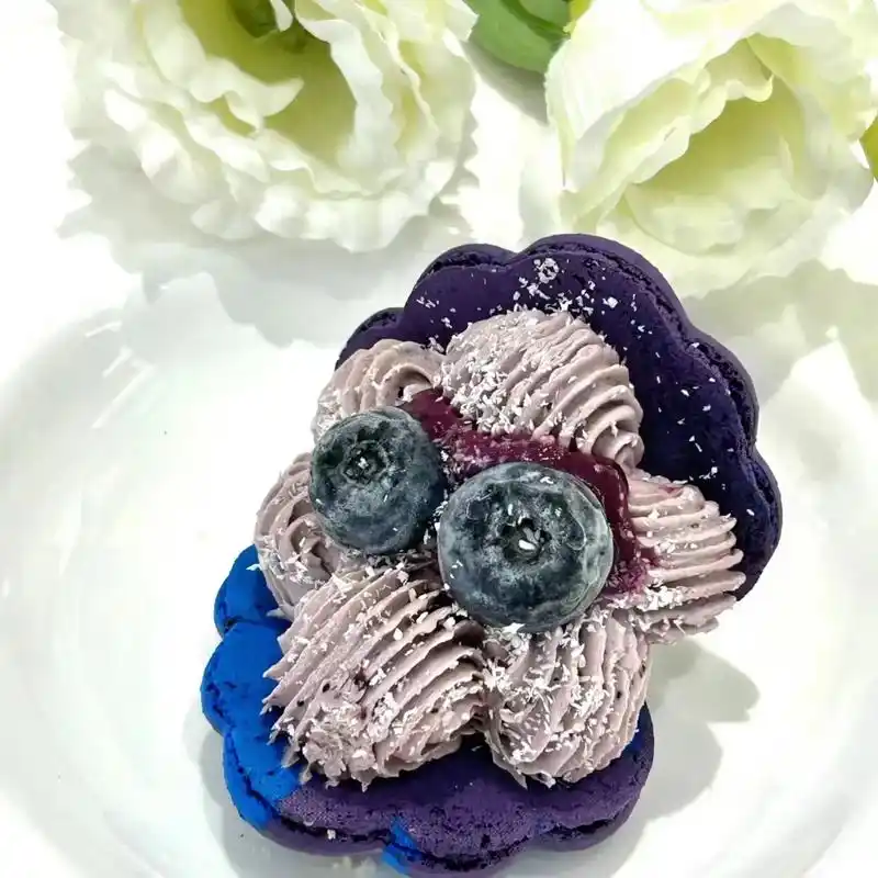 来南昌必吃的马卡龙-卟噜象马卡龙.南昌最好看^ω^的城堡餐厅 - 抖音