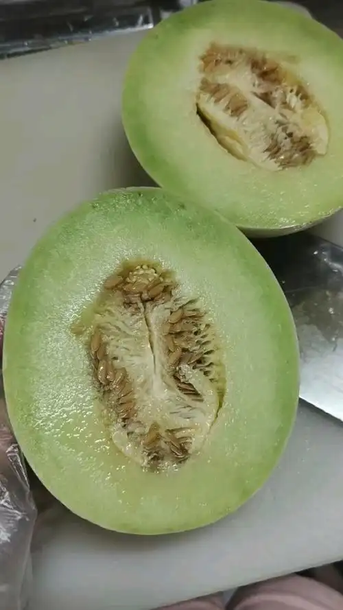 这哈密瓜真好吃很甜