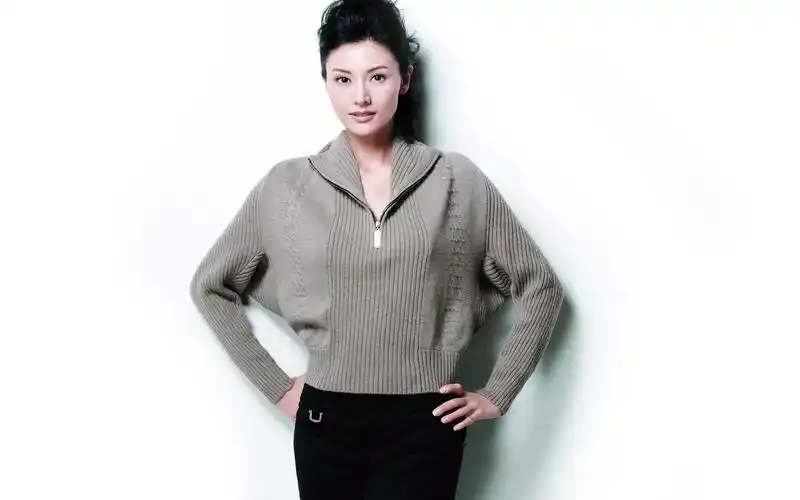 最美丽港姐李嘉欣