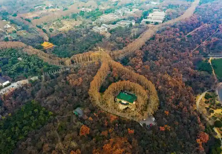 航拍南京紫金山宝石吊坠数千梧桐贯串唯美浪漫